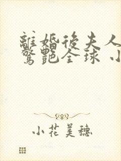 离婚后夫人携崽惊艳全球 小说在线封面