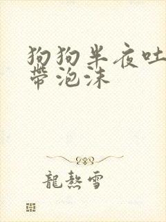 狗狗半夜吐黄水带泡沫