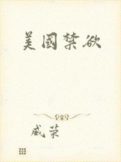 美国禁欲