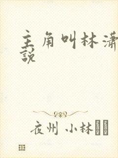 主角叫林潇的小说