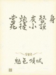 当炮灰替身的我死后小说