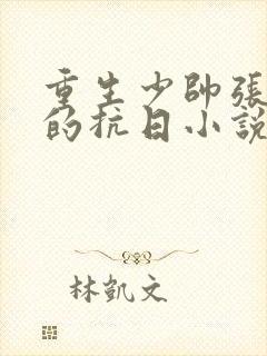 重生少帅张学良的抗日小说封面