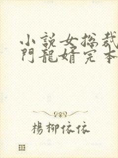 小说女总裁的上门龙婿完本txt封面