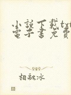 小说下载txt电子书免费下载网站