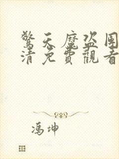 惊天魔盗团4高清免费观看