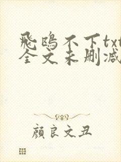 飞鸥不下txt全文未删减