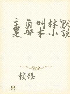 主角叫林默的人是哪本小说封面