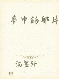 梦中的那片海封面