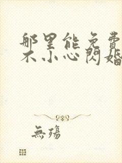 那里能免费看一不小心闪婚了短剧