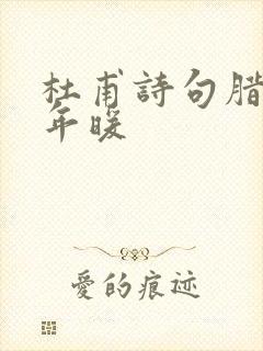 杜甫诗句腊日常年暖