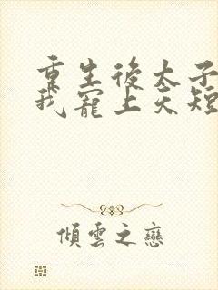 重生后太子爷把我宠上天短剧