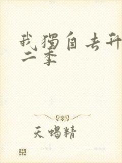 我独自去升级第二季