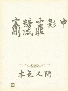 寡糖电影中文未删减版