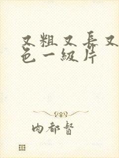 又粗又长又大黄色一级片