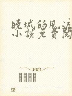 晓城的风流人生小说免费阅读