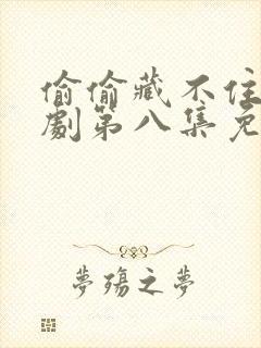 偷偷藏不住广播剧第八集免费听封面