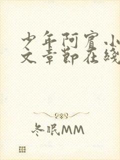 少年阿宾小说全文章节在线观看免费