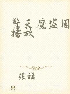 惊天魔盗团2 播放