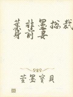 叶非墨总裁的替身前妻