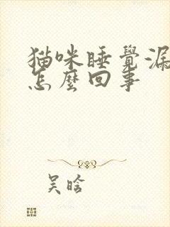 猫咪睡觉漏尿是怎么回事