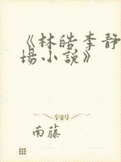 《林皓李静怡官场小说》