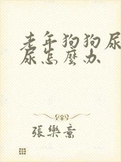 老年狗狗尿不出尿怎么办