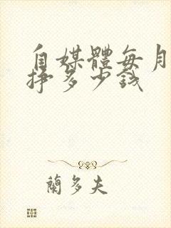 自媒体每月可以挣多少钱