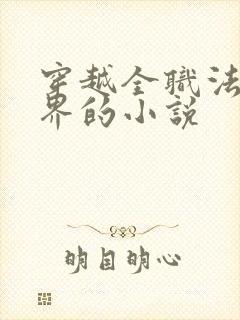 穿越全职法师世界的小说