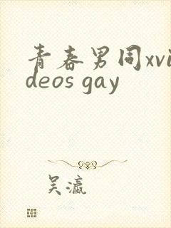 青春男同xvideos gay封面