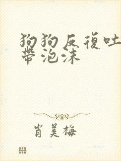 狗狗反复吐黄水带泡沫封面