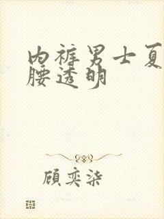 内裤男士夏季低腰透明