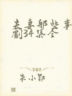 夫妻那些事电视剧34集全封面