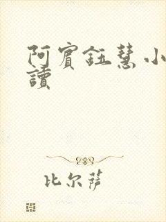 阿宾钰慧小说阅读