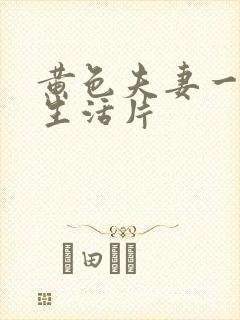 黄色夫妻一级性生活片