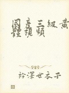 国产三级黄色裸体视频封面