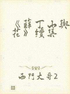 《薛丁山与樊梨花》续集