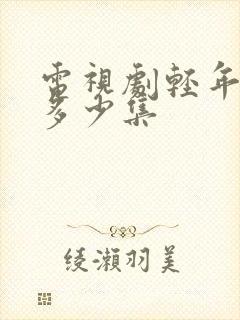 电视剧轻年一共多少集