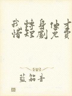 我转身他才懂珍惜短剧免费观看