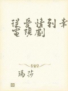 从爱情到幸福 电视剧封面