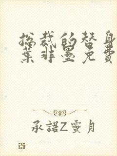 总裁的替身前妻叶非墨免费阅读