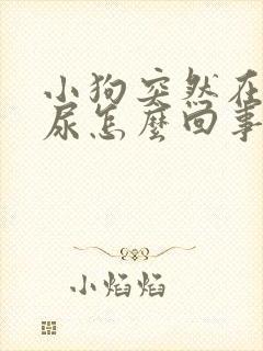 小狗突然在家乱尿怎么回事