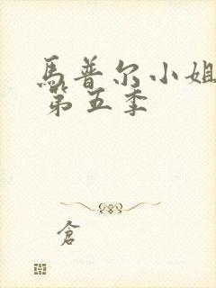 马普尔小姐探案 第五季