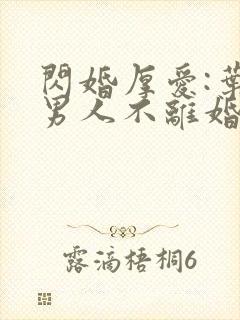 闪婚厚爱:叶家男人不离婚下载txt全文