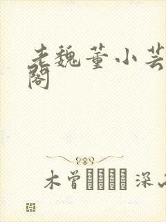 老魏董小芸趣笔阁封面