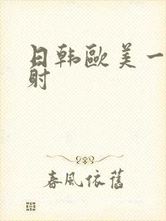日韩欧美一级内射