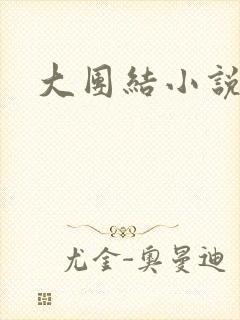 大团结小说阅读