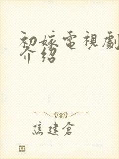 初嫁电视剧剧情介绍封面