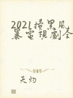 2021扫黑风暴电视剧全集剧情介绍封面