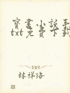 宝书小说手机网txt免费下载