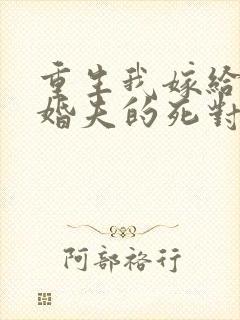 重生我嫁给了未婚夫的死对头全文